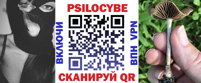 продажа наркотиков Ессентуки МЕГА ссылки Псилоцибиновые грибы Cubensis