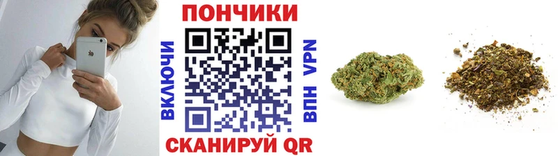 мориарти какой сайт  Ессентуки  Канабис индика 
